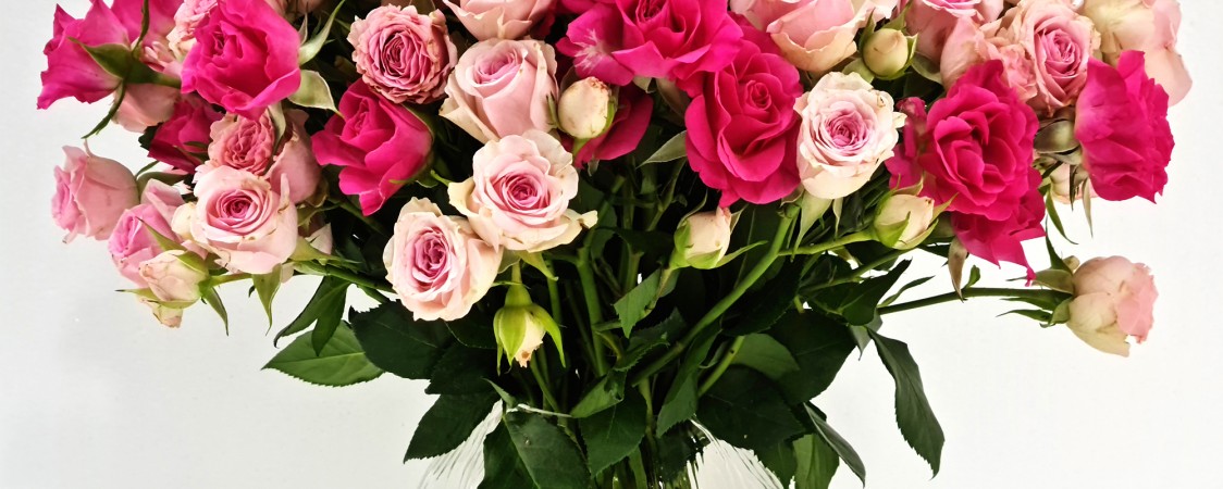 Flowers in Vase