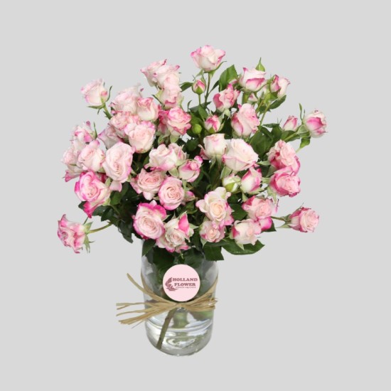 vase of baby roses 